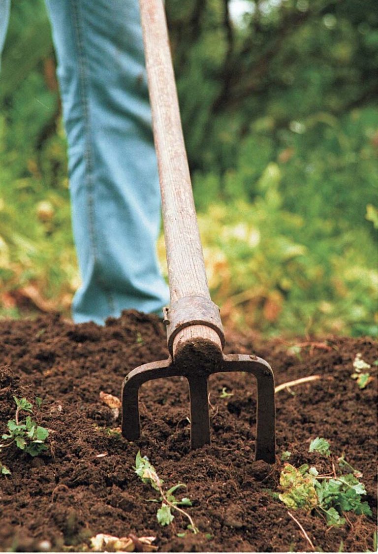 » How to Choose the Right Tools for Preparing the Soil in Your Garden